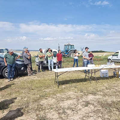 Camelina as an Alternative to Combat Drought and Enhance Sustainability in Agriculture