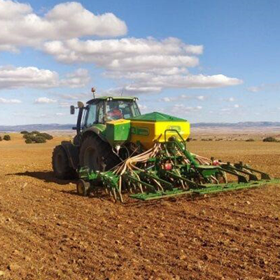 Carinata sowing in Cereales Teruel (Aragón Region, Spain)