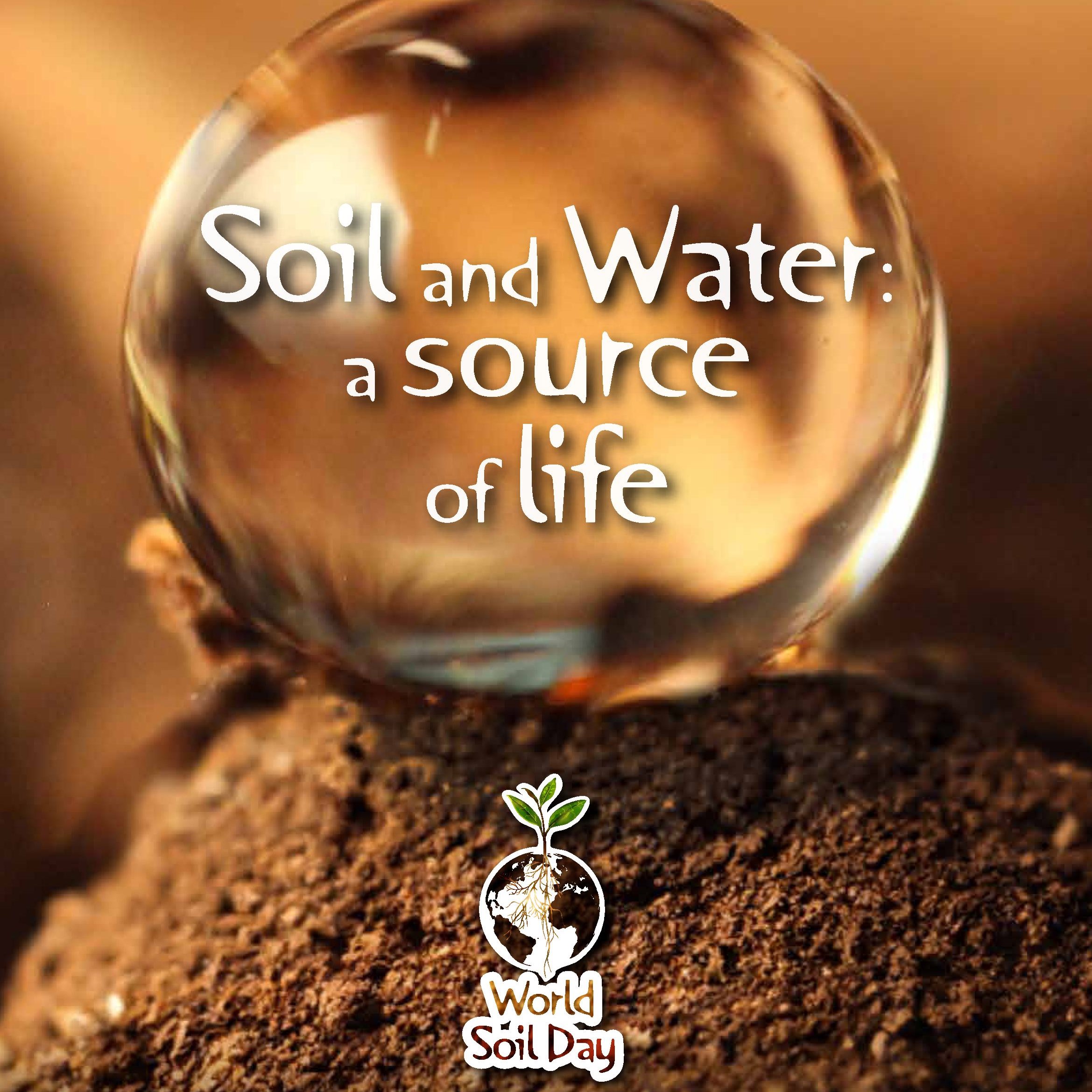 World Soil Day – 5th of December 2023