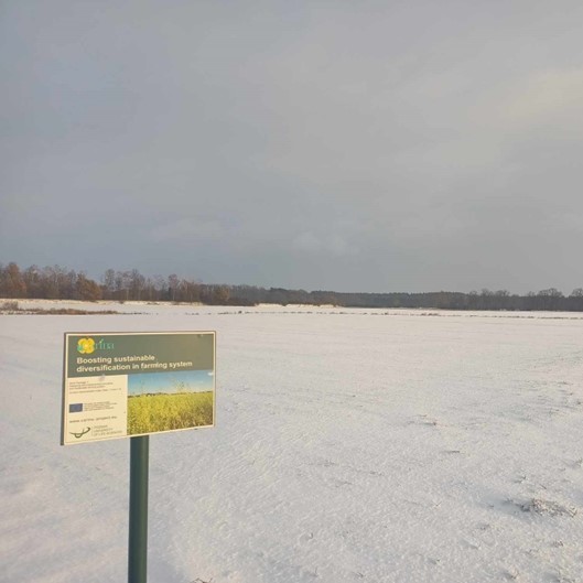 Poznan University of Life Sciences – Winter Update: Braving the Cold in Poland with the Carina Project