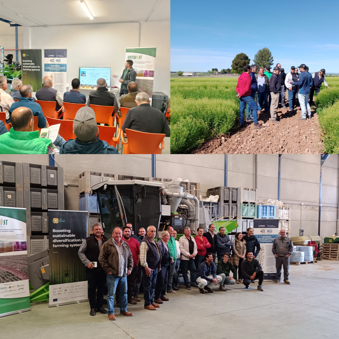 Camelina Company España and Cooperativas Agro-alimentarias Castilla – La Mancha Hosted 2nd Lighthouse Event in Daimiel