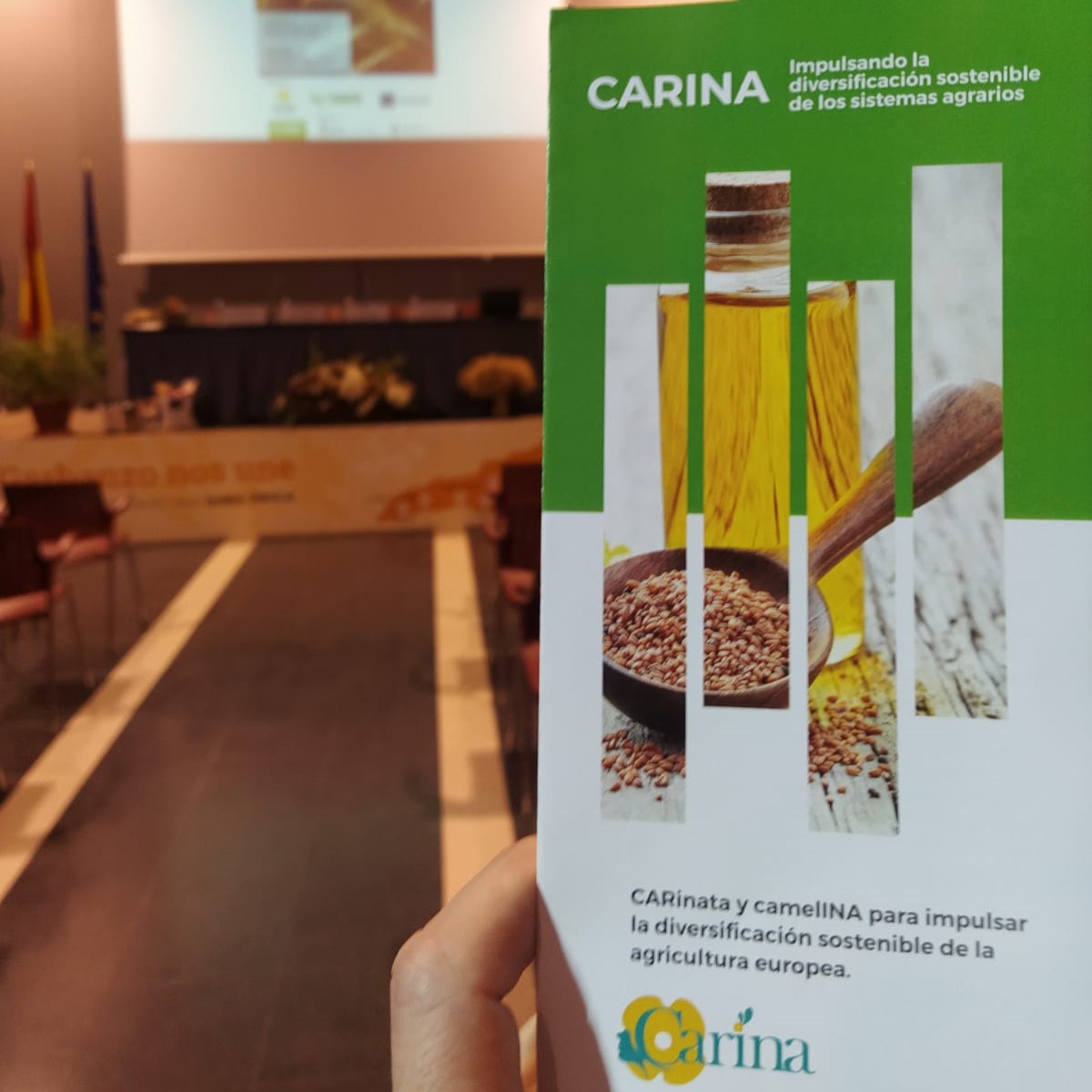 Carina Project at Andalusian Technical Conference