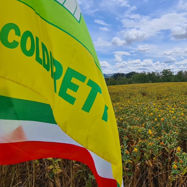 CARINA Demo Field Day in Italy