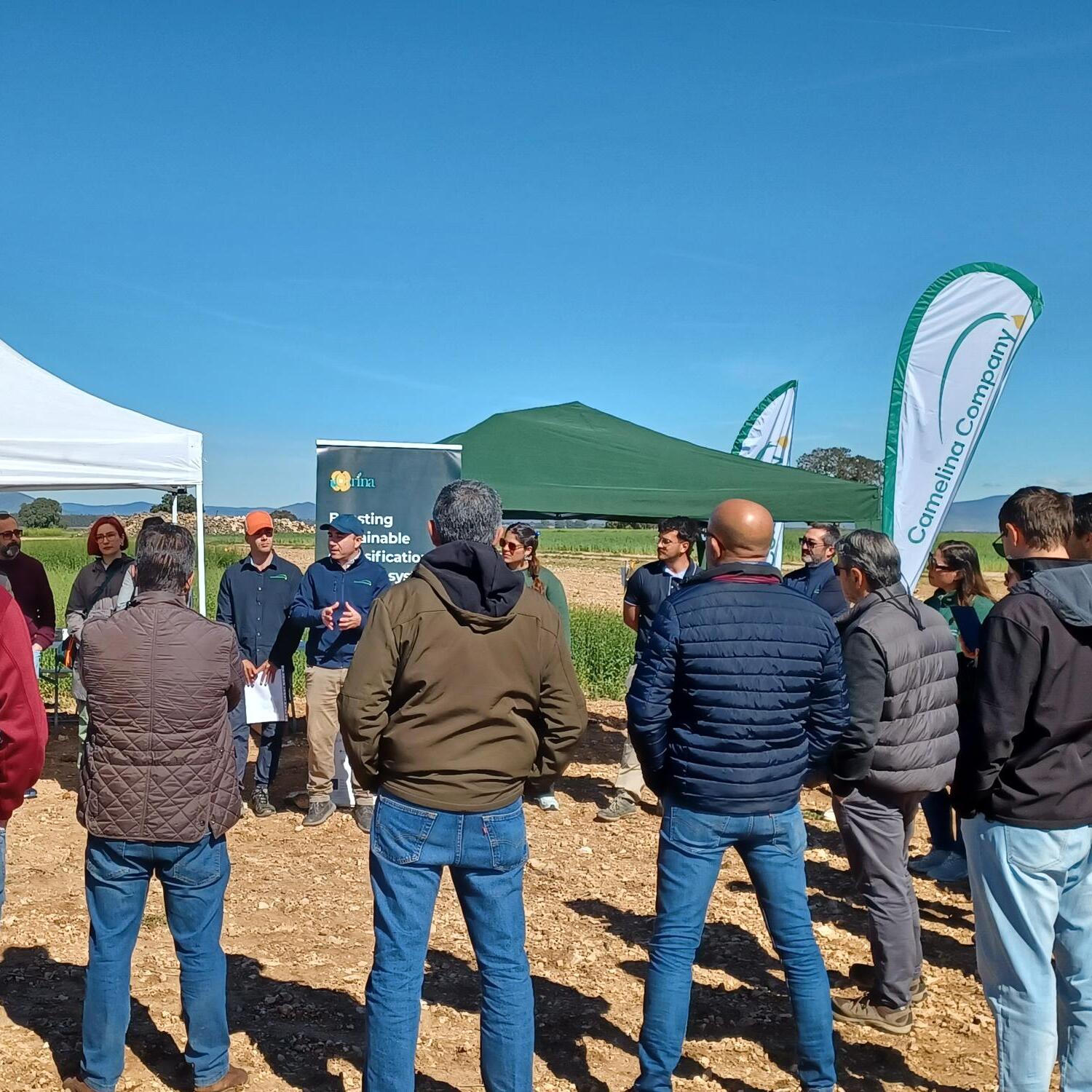 CARINA Open Day in Daimiel Showcases Camelina Field Trials
