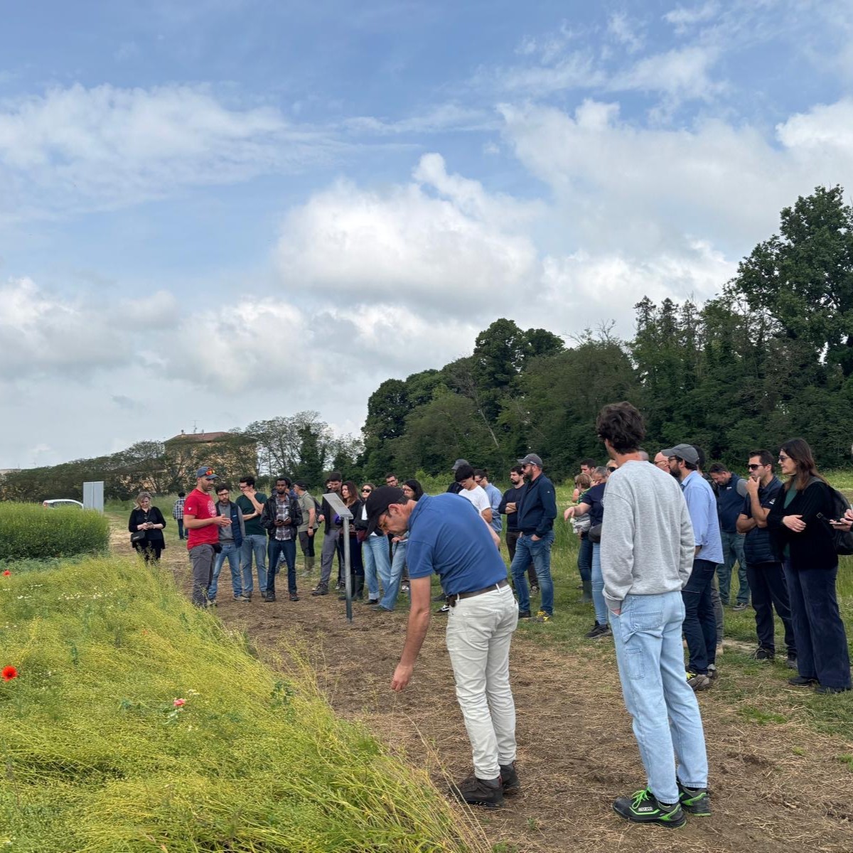 Demonstration Day Showcases Sustainable Crop Diversification Approaches