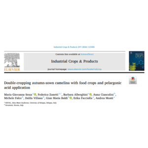 New Publication Explores Camelina Double-Cropping Systems for the Bio-Based Economy